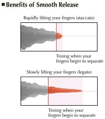 صداها در YDP-144 